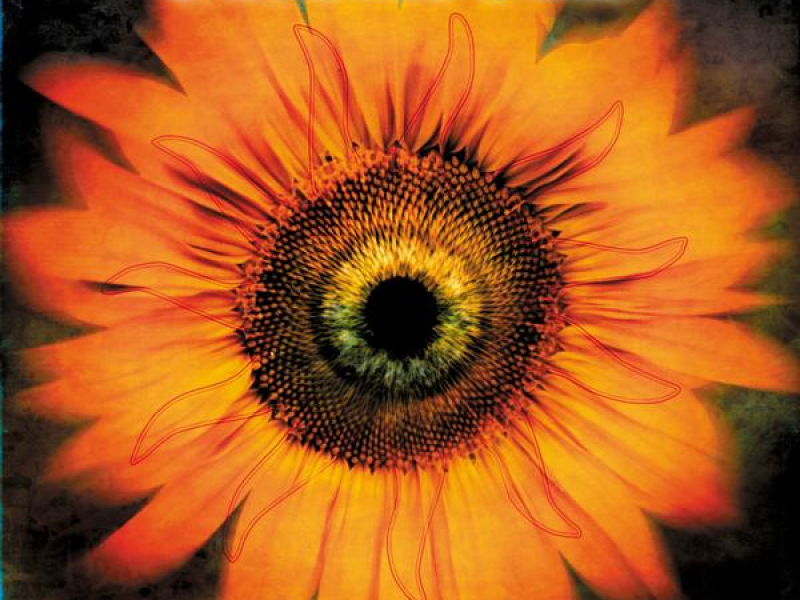 Comalies (Deluxe Edition)