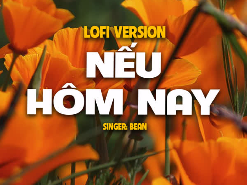 Nếu Hôm Nay (Lo-Fi) (Single)