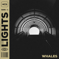 Lights (Single)