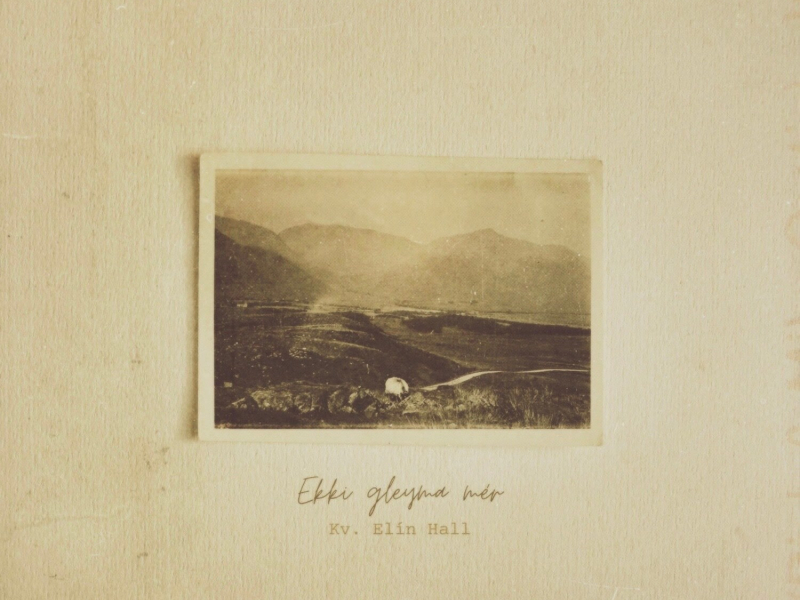 Ekki gleyma mér (Single)