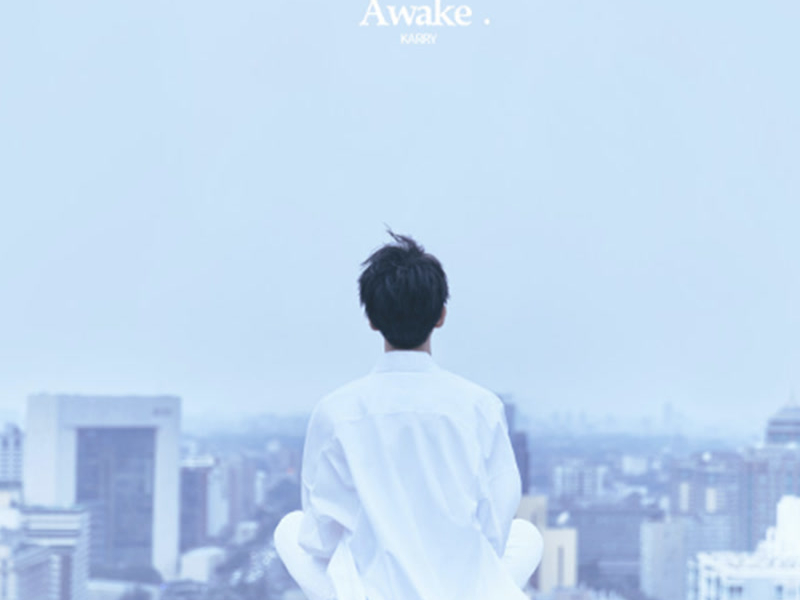 Awake (Single)