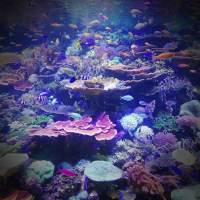 Deep Meditation and Relaxation with Underwater Sound (Single)