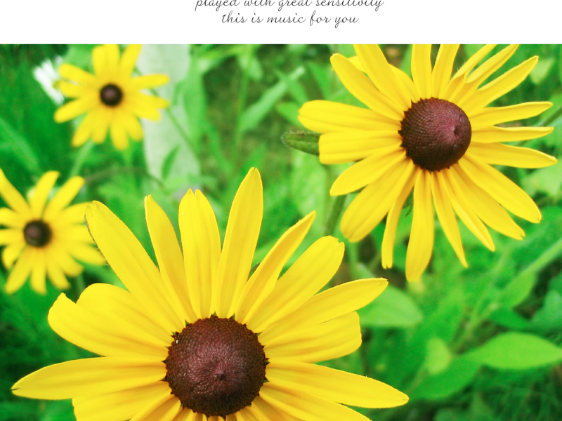 Happy To You (Single)