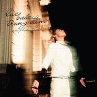 Lạc Bước Trong Đêm (Single)