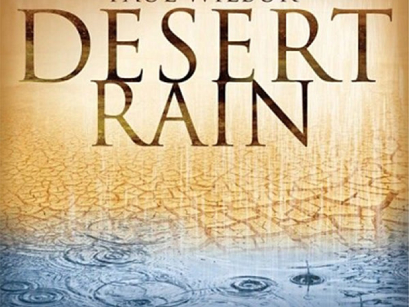 Desert Rain (Split Trax)