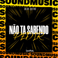 NÃO TA SABENDO PEDIR (Single)