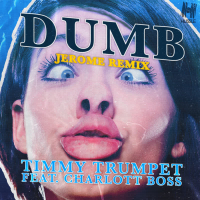 Dumb (Jerome Remix) (Single)