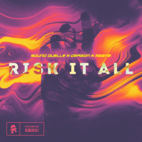 Risk It All (Single)