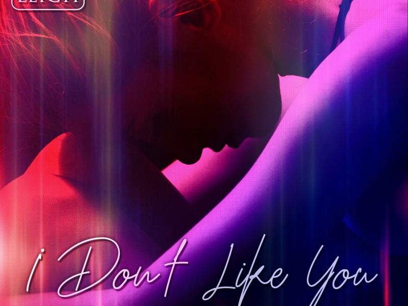 I Don't Like You (Single)