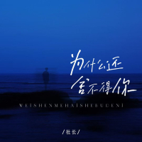 为什么还舍不得你 (Single)
