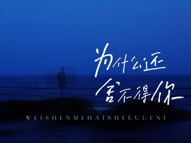 为什么还舍不得你 (Single)