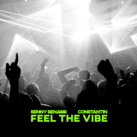 Feel The Vibe (Single)