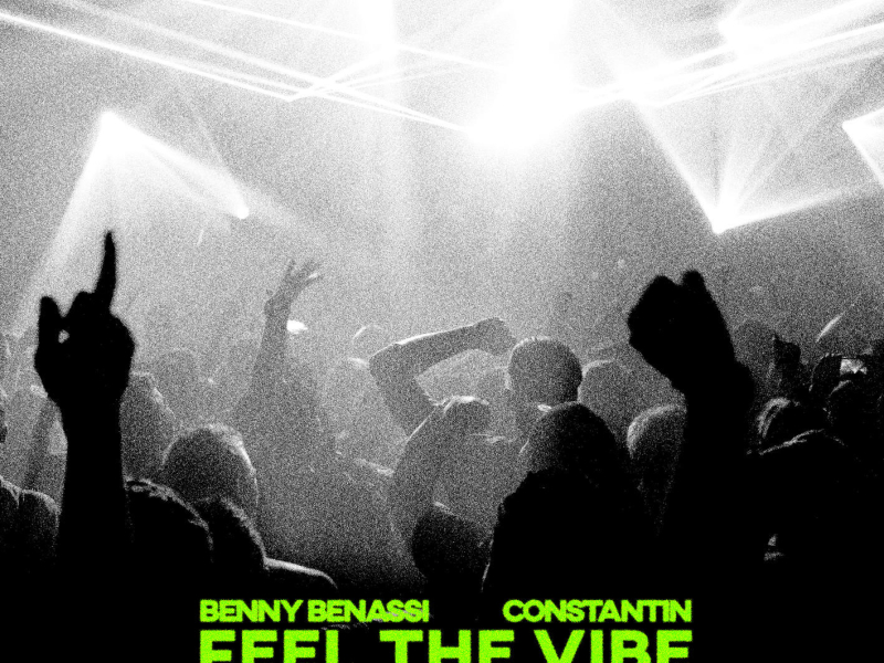 Feel The Vibe (Single)