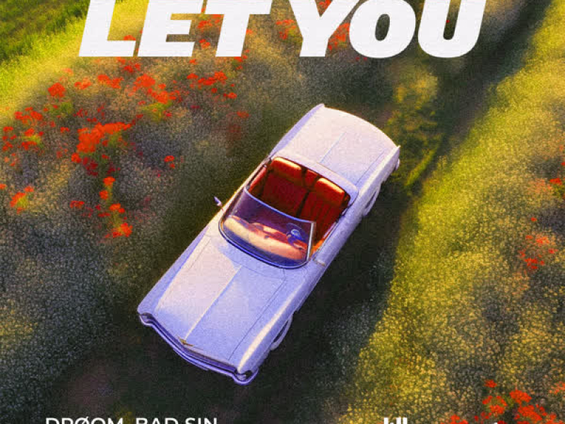 Let You (Single)