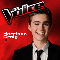 If (The Voice 2013 Performance) (Single)
