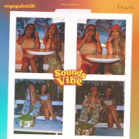 Sounds Like A Vibe (Single)