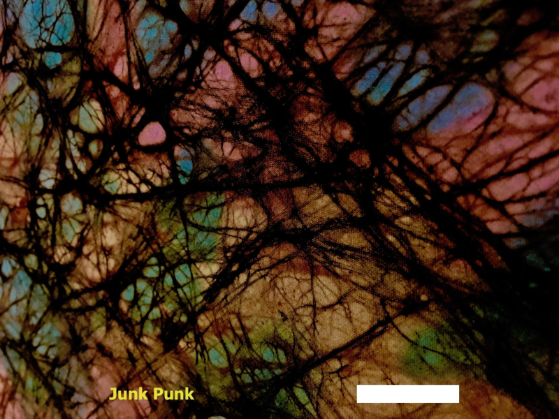 Junk Punk (EP)