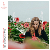 IOU (Instrumental) (Single)
