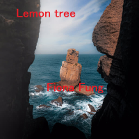 Lemon tree (Single)