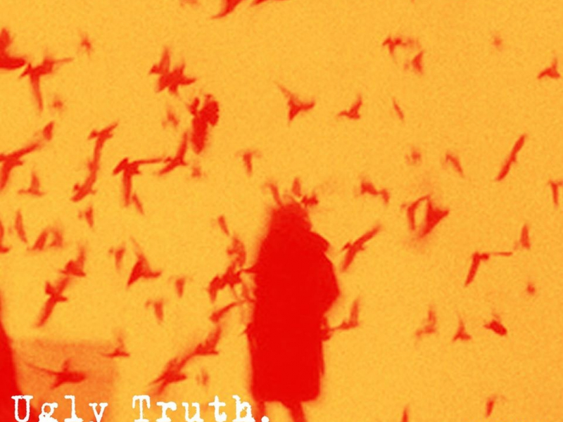 Ugly Truth