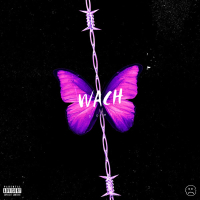 Wach (Single)