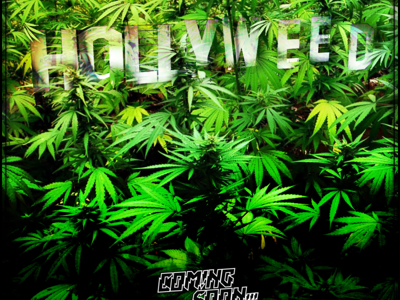 Hollyweed (Single)