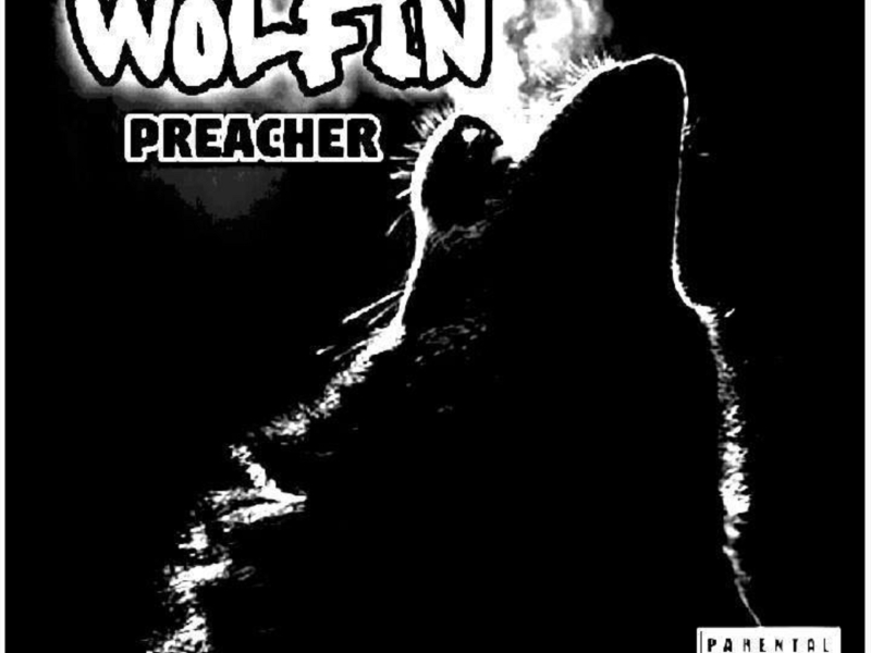 Wolfin (Single)