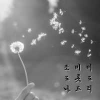 조미미 도롯도 나드리