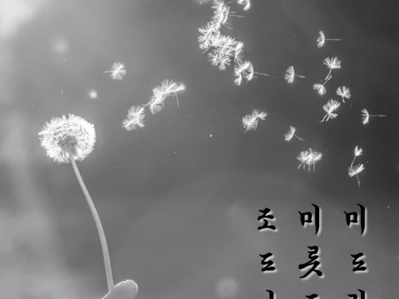 조미미 도롯도 나드리