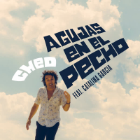 Agujas en el pecho (Single)