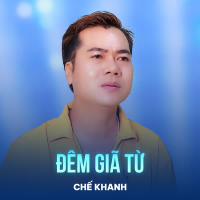 Đêm Giã Từ (Single)