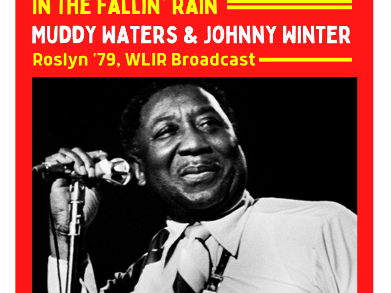 In The Fallin' Rain (Live Roslyn '79) (Single)