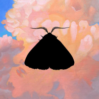 Moth to the Flame (Olga Bell Remix) (Single)