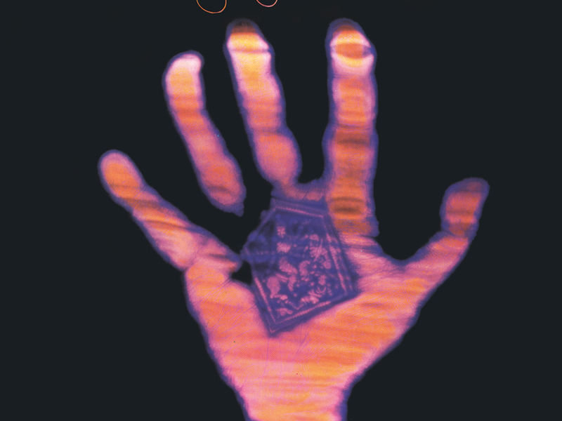 Living In The Material World