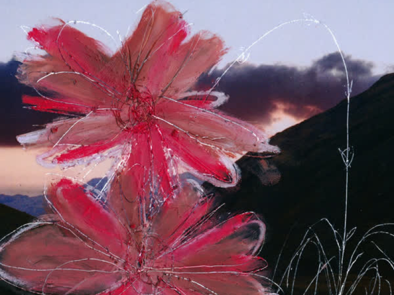 You Should Get Some Sleep