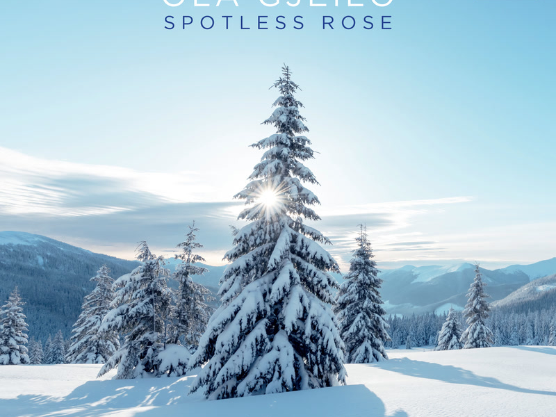 Gjeilo: Spotless Rose (Single)