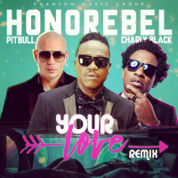 Your Love (feat. Charly Black, Pitbull) [Remix] (Single)
