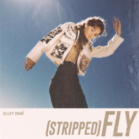 Fly (Stripped) (Single)