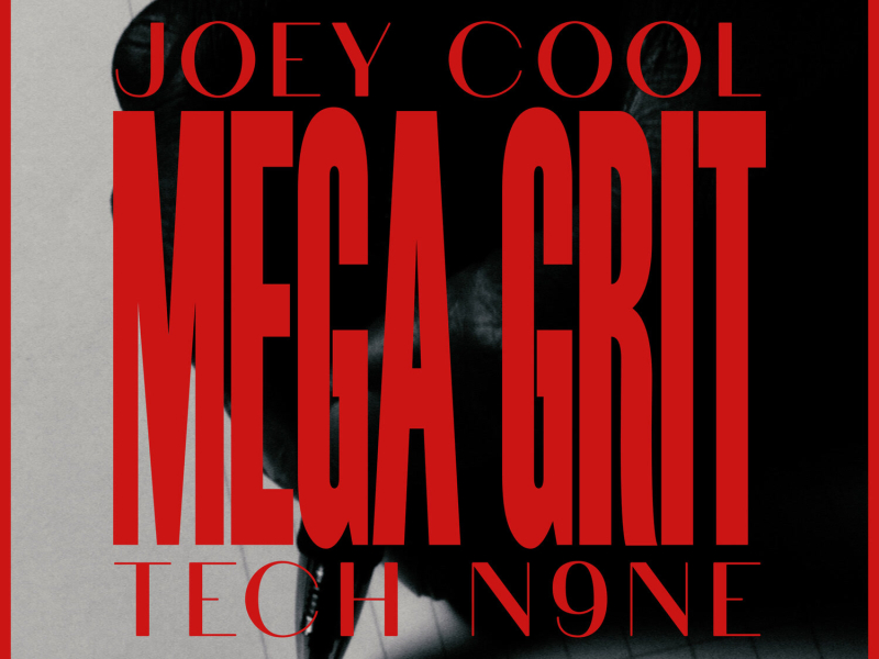 Mega Grit (Single)