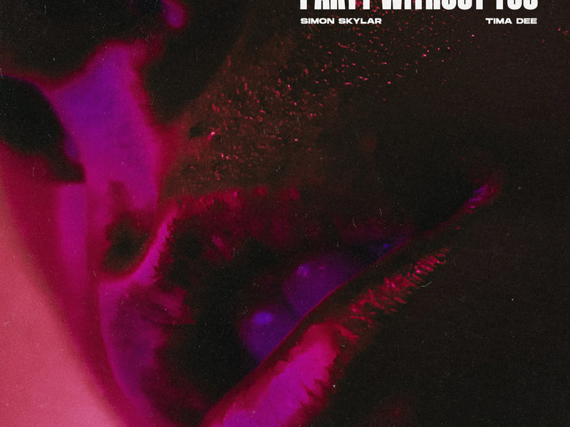 Party Without You (Single)
