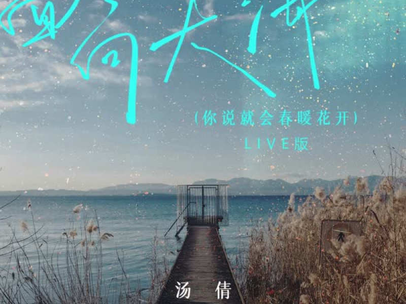 面向大海 (你说就会春暖花开) (Single)