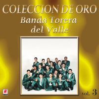 Coleccíon De Oro, Vol. 3