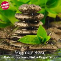 Yağmur Sesi (Asmr) (Single)