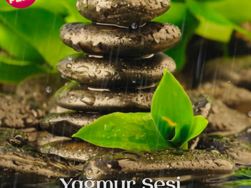 Yağmur Sesi (Asmr) (Single)