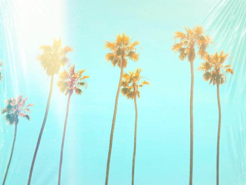 California Dreamin' (Single)