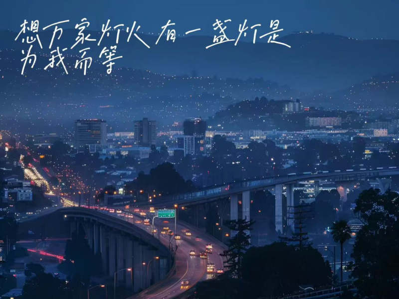 想万家灯火有一盏灯是为我而等 (Single)