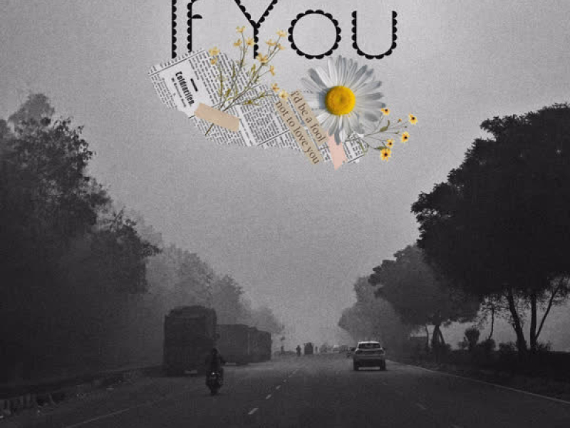 If You (Single)