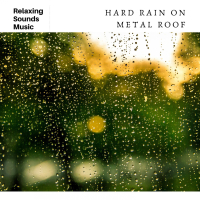 Hard Rain on Metal Roof (Single)