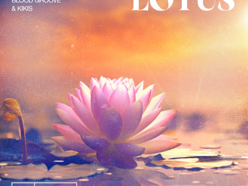 Lotus (Single)