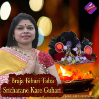 Braja Bihari Taba Sricharane Kare Guhari (Single)